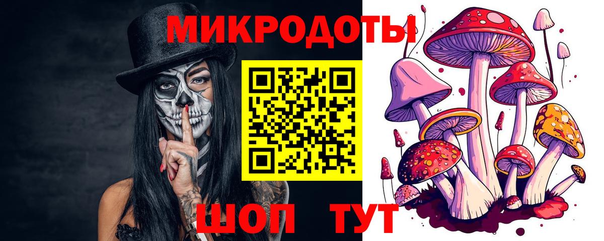Казань  Псилоцибиновые грибы Psilocybine cubensis  Вход с VPN  Псилоцибиновые грибы ЛСД 