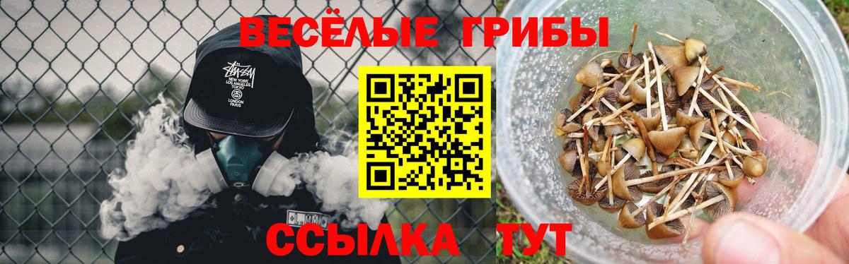 Галлюциногенные грибы мухоморы Казань